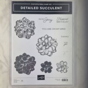 Detailed Succulent
