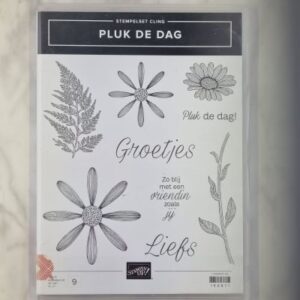 Pluk de dag